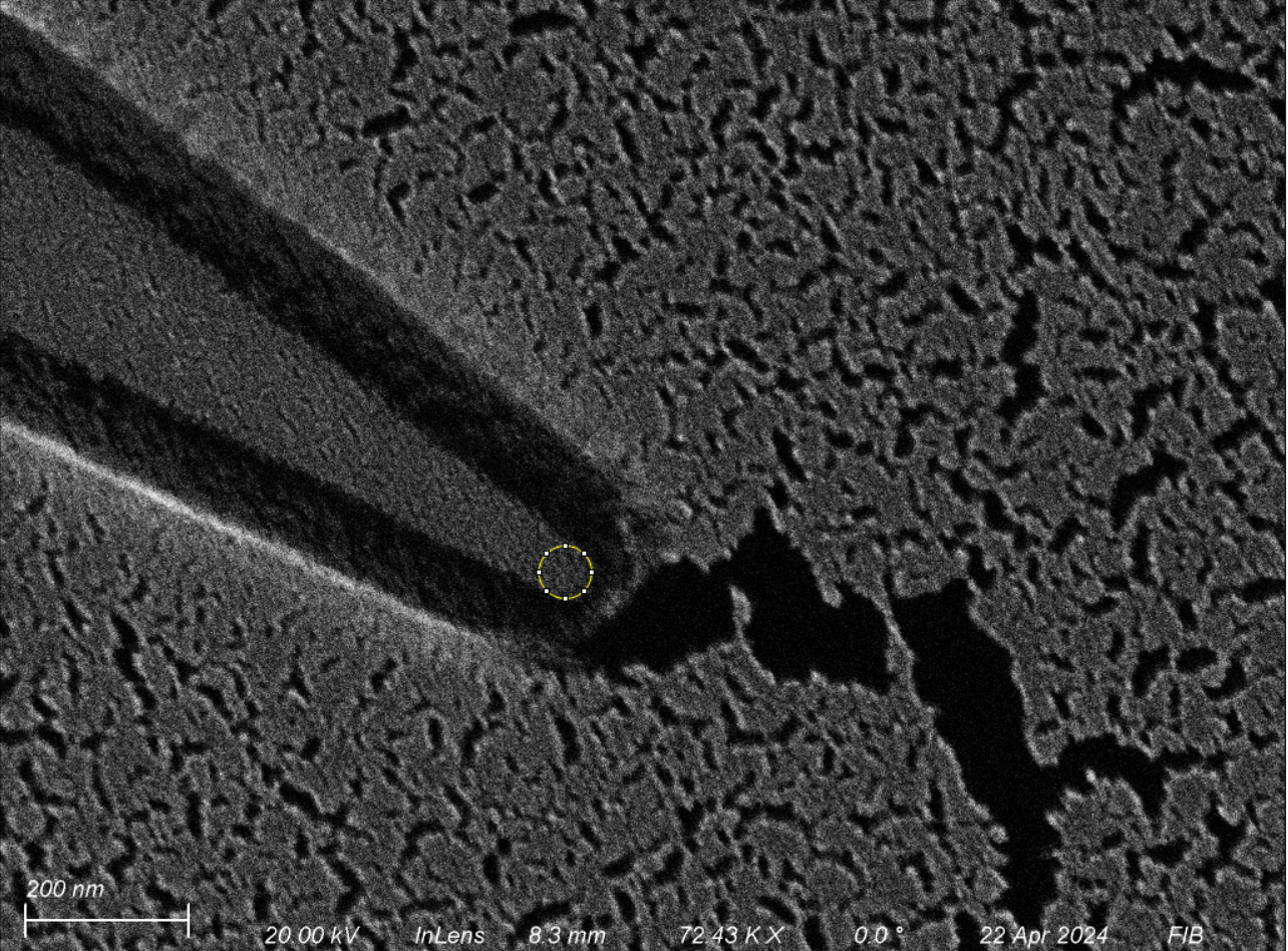First Image